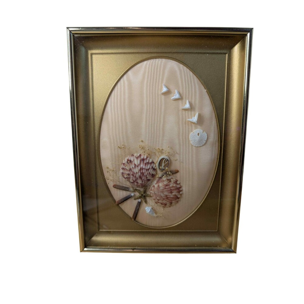 Framed Seashell Sand Dollar Clam Shadowbox 3D Shell Art Gold Frame